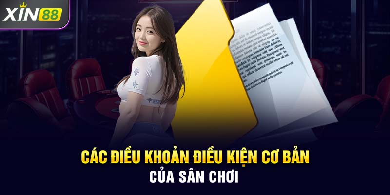 Các điều khoản điều kiện cơ bản của sân chơi