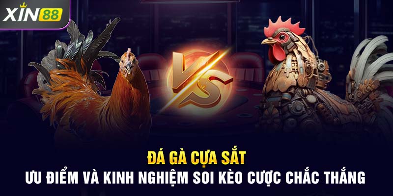 Đá Gà Cựa Sắt - Ưu Điểm Và Kinh Nghiệm Soi Kèo Cược Chắc Thắng