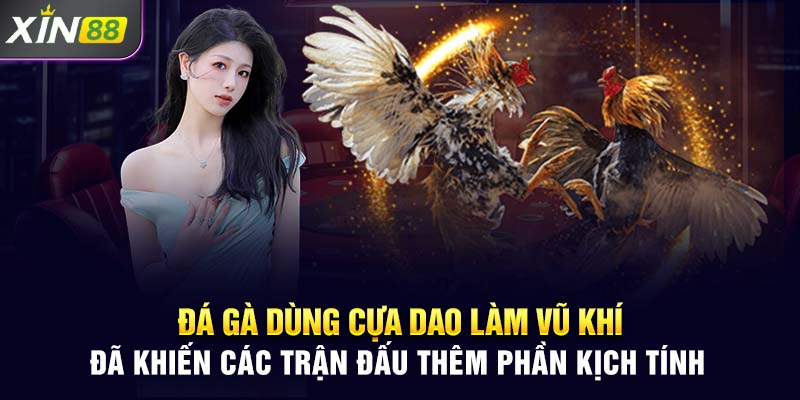 Đá gà dùng cựa dao làm vũ khí đã khiến các trận đấu thêm phần kịch tính