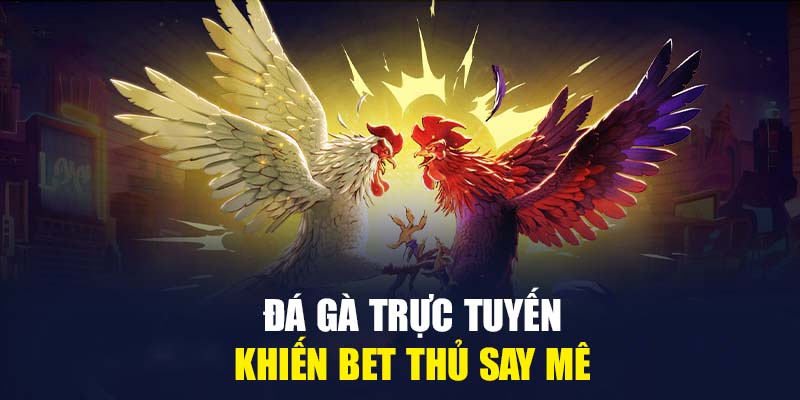 Đá Gà Trực Tuyến - Hình Thức Giải Trí Khiến Bet Thủ Say Mê