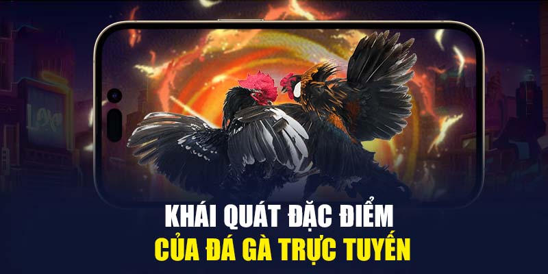 Khái quát đặc điểm của đá gà trực tuyến