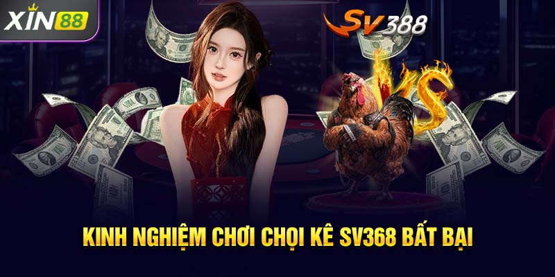 Kinh nghiệm chơi chọi kê SV368 bất bại