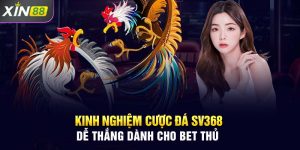 Kinh Nghiệm Cược Đá gà SV368 Dễ Thắng Dành Cho Bet Thủ