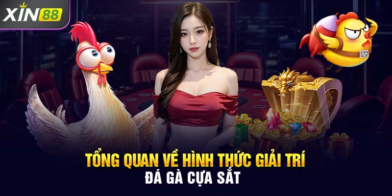 Tổng quan về hình thức giải trí đá gà cựa sắt